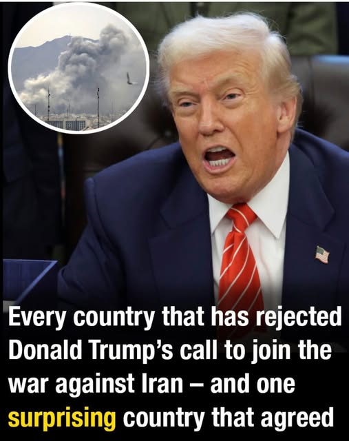 Every country that has rejected Donald Trump’s call to join the war against Iran – and one surprising country that agreed